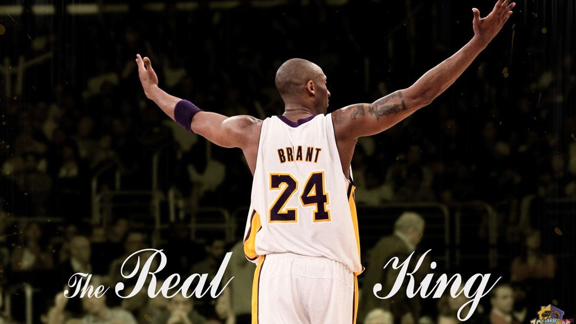 双向奔赴!球迷为孙颖莎庆生,莎莎多次回应,无愧乒坛代表,孙颖莎的乒乓球